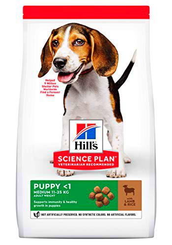 Hill's Canine Puppy Lamb &amp; Rice Comida para Perros